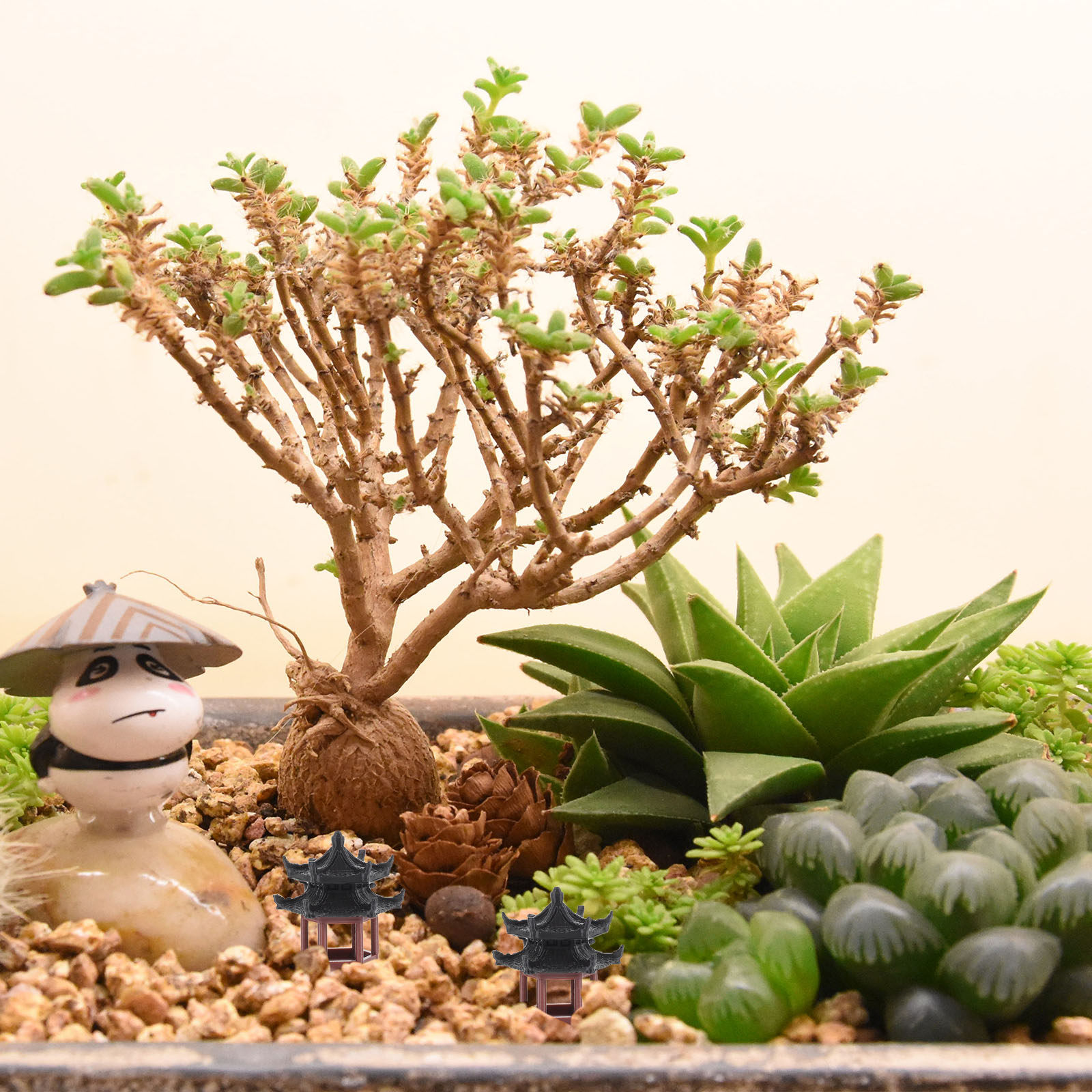 Bonsai Garden Set Up - Exquisite Mini Hexagon Pavilion Statue Traditional