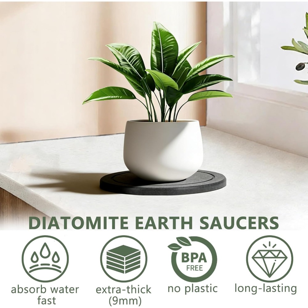 3Pcs/Set Diatomaceous Earth Pl - огляд і ціна Drip Tray Saucer