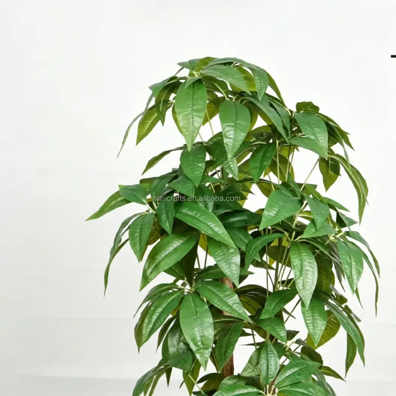 Hot Sale Nordic Style Indoor D - огляд і ціна Bonsai Garden For Sale