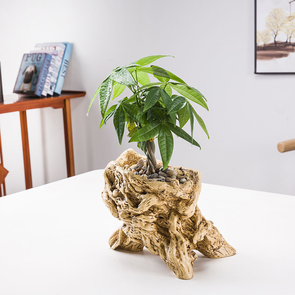 Tree Root Shaped Flower Pot De - огляд і ціна Bonsai Garden Display